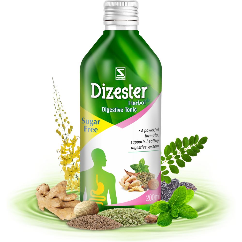 Willmar Schwabe India Dizester Herbal (200ml)