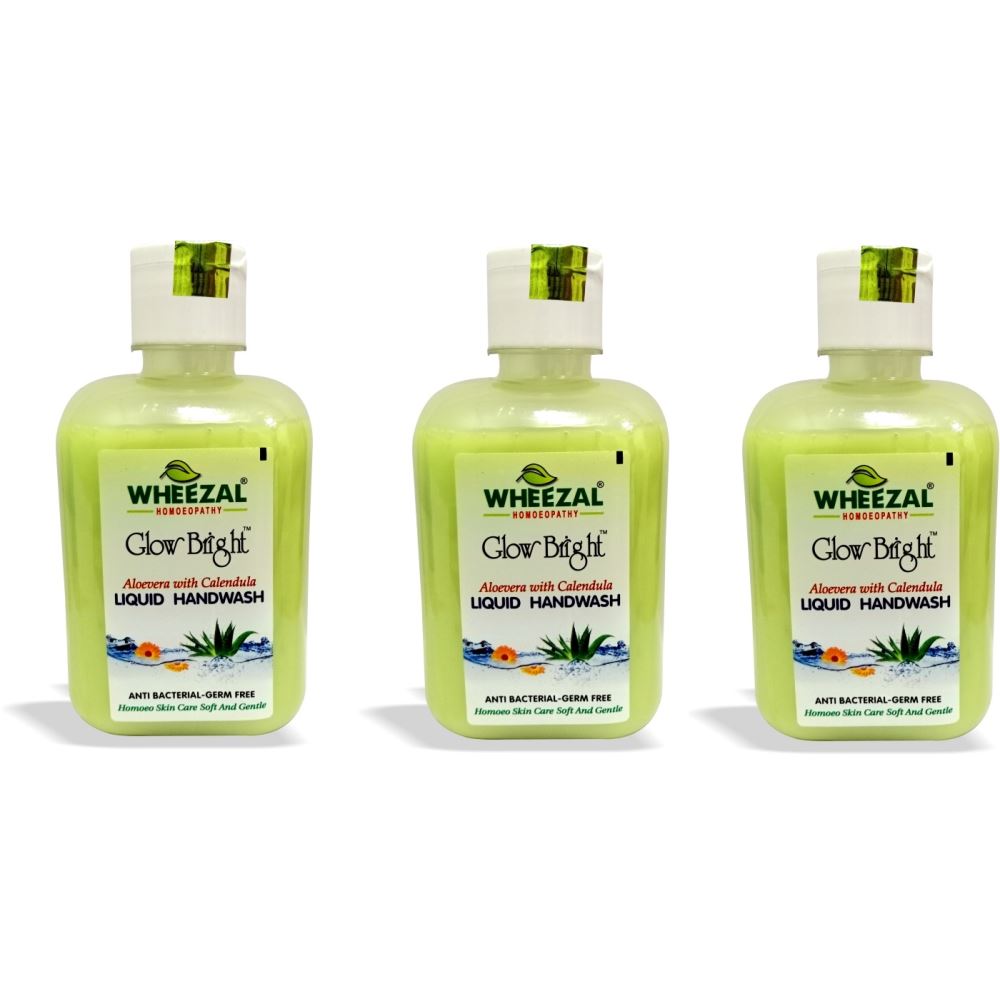 Wheezal Aloevera with Calendula Liquid Hand Wash (250ml, Pack of 3)