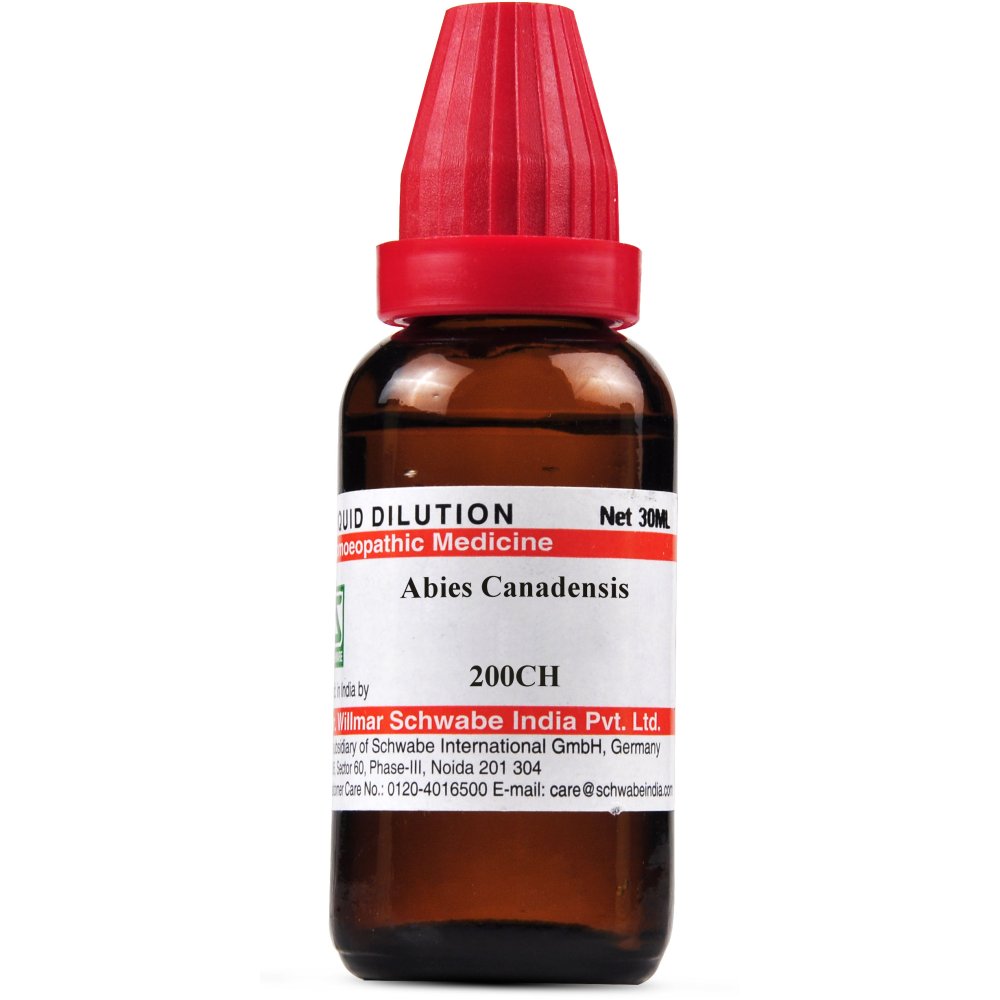 Willmar Schwabe India Abies Canadensis 200 CH 30ml Willmar Schwabe India Abies Canadensis 200 CH 30ml