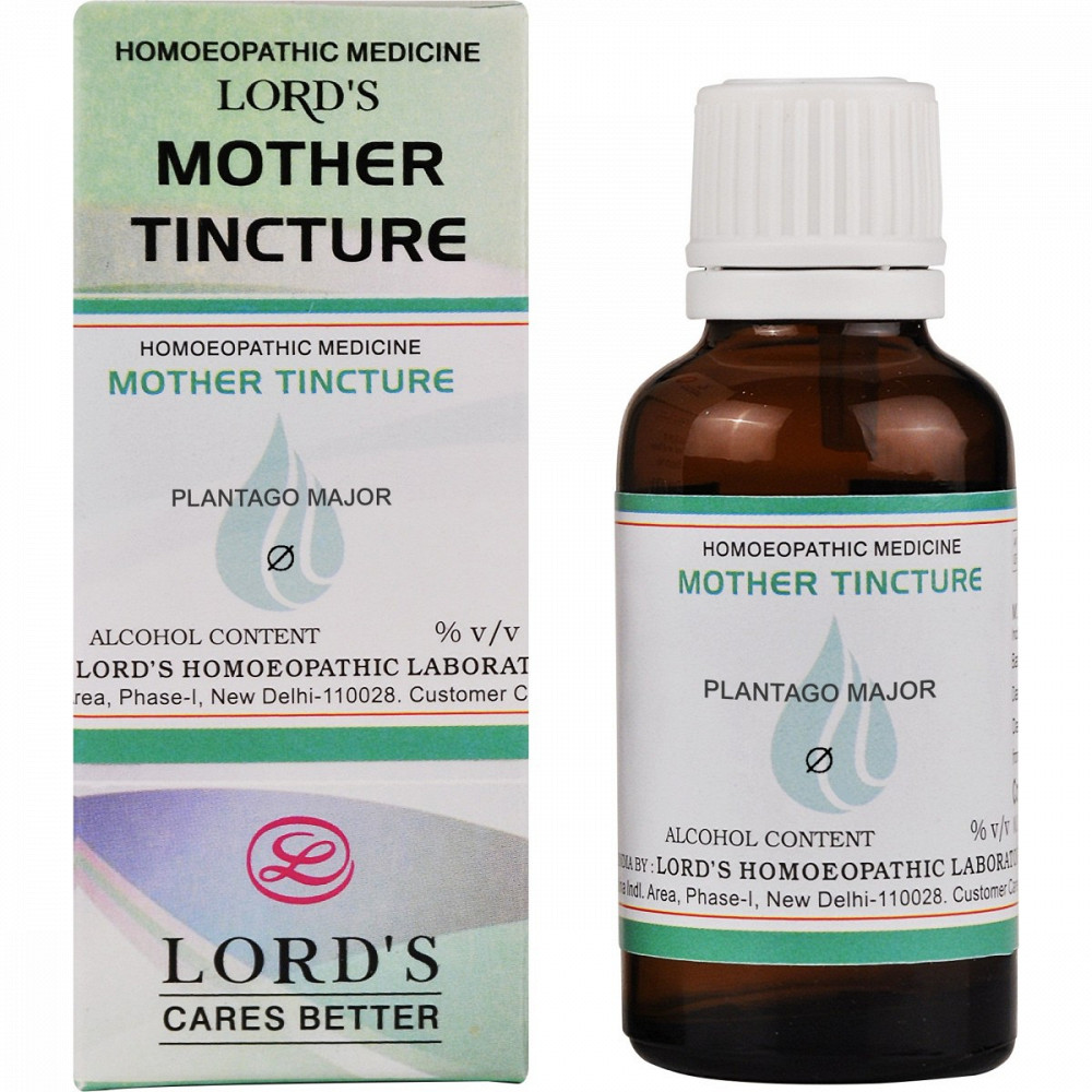 Lords Plantago Major 1X Q 30ml Lords Plantago Major 1X Q 30ml