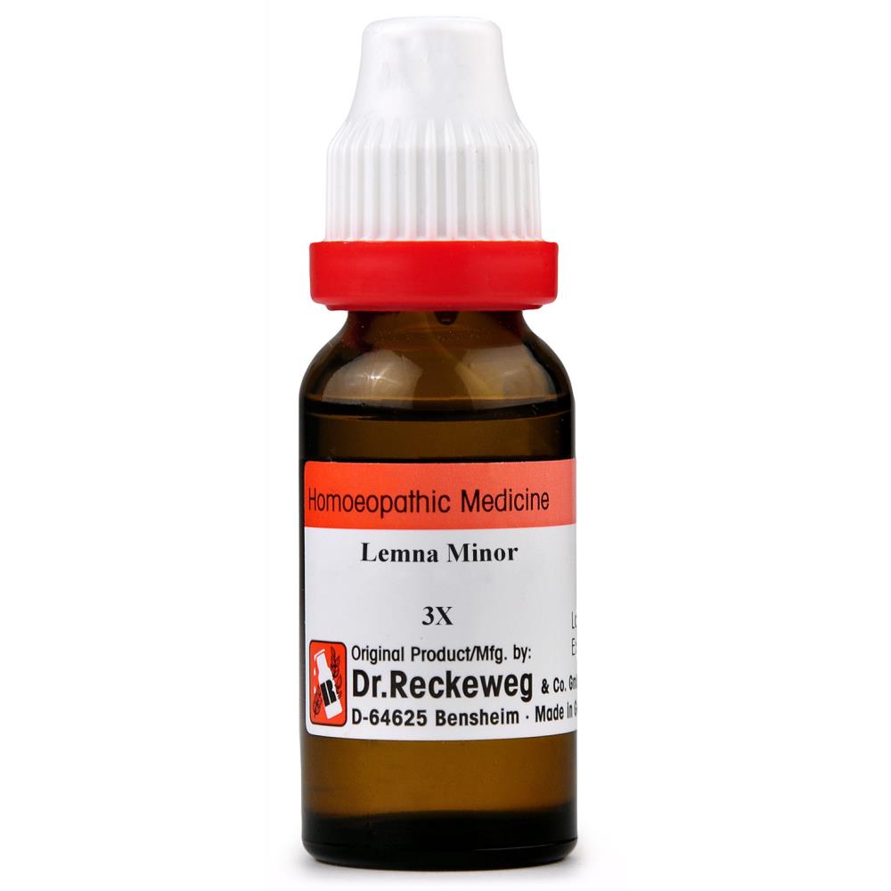 Dr. Reckeweg Lemna Minor 3X 11ml Dr. Reckeweg Lemna Minor 3X 11ml