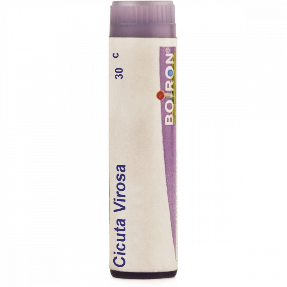 Boiron Cicuta Virosa Multi Dose Pellets 30 CH 4g Boiron Cicuta Virosa Multi Dose Pellets 30 CH 4g