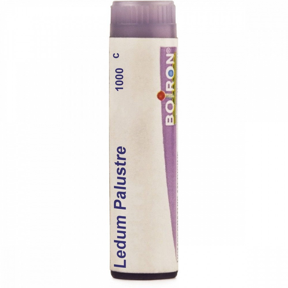 Boiron Ledum Palustre Multi Dose Pellets 1M 1000 CH 4g Boiron Ledum Palustre Multi Dose Pellets 1M 1000 CH 4g