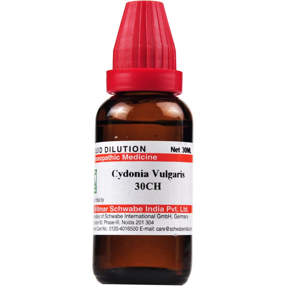 Willmar Schwabe India Cydonia Vulgaris 30 CH 30ml Willmar Schwabe India Cydonia Vulgaris 30 CH 30ml