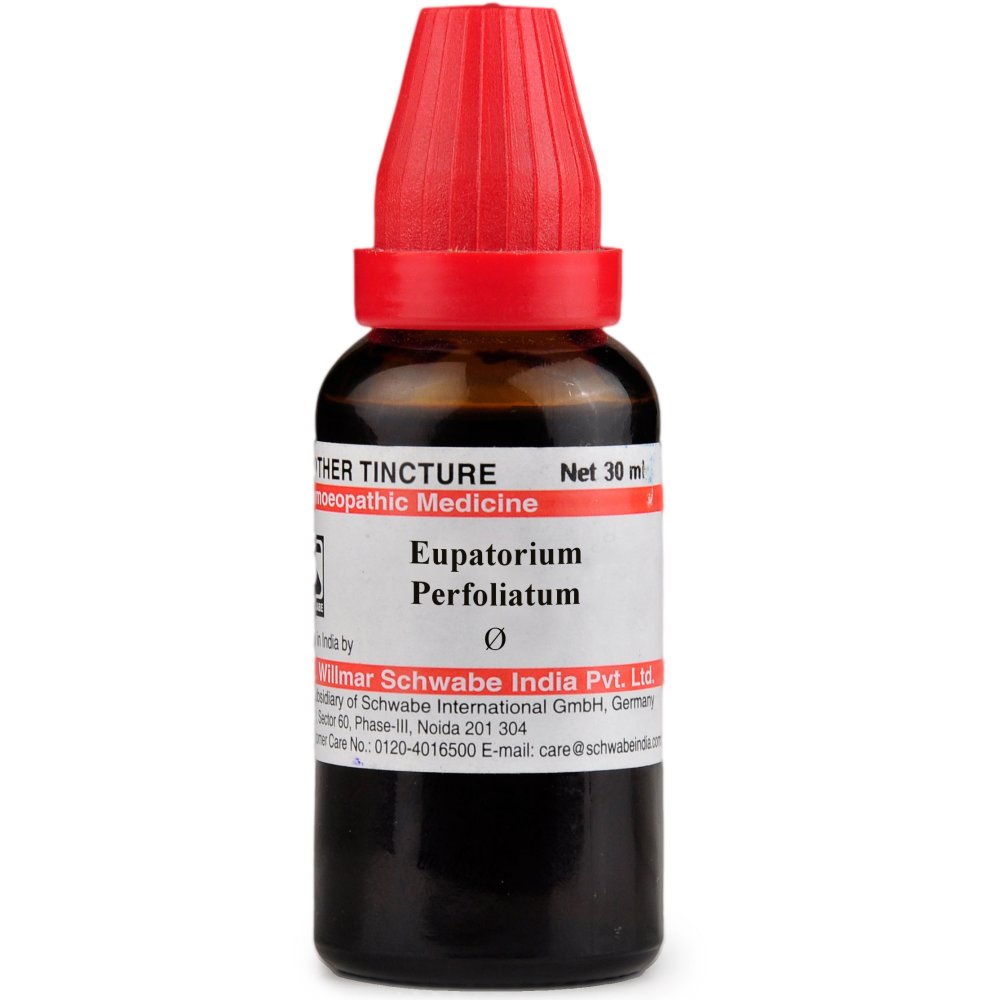 Willmar Schwabe India Eupatorium Perfoliatum 1X Q 30ml Willmar Schwabe India Eupatorium Perfoliatum 1X Q 30ml
